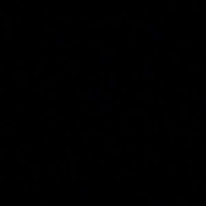 Meet your Posher, Mindy